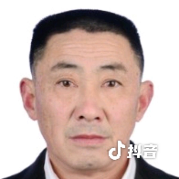 金毛凝眸勤恳的照片