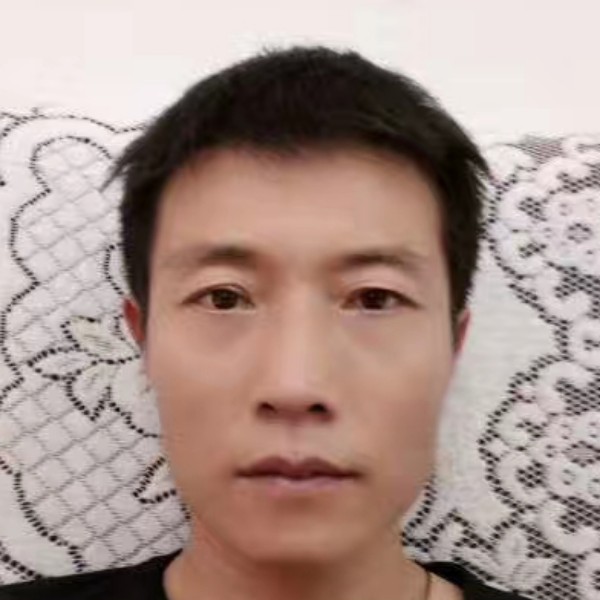 饱满深拥花卷的照片