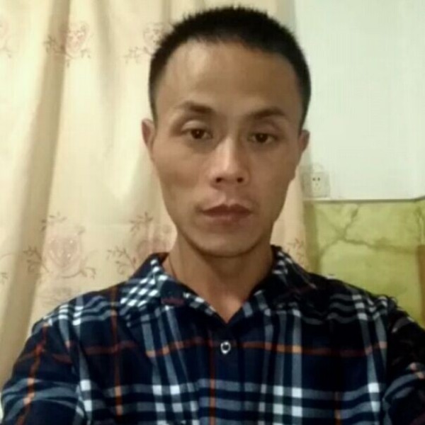 羊敏感的照片