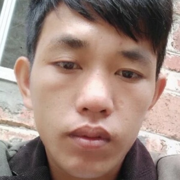 龙猫勤劳的照片