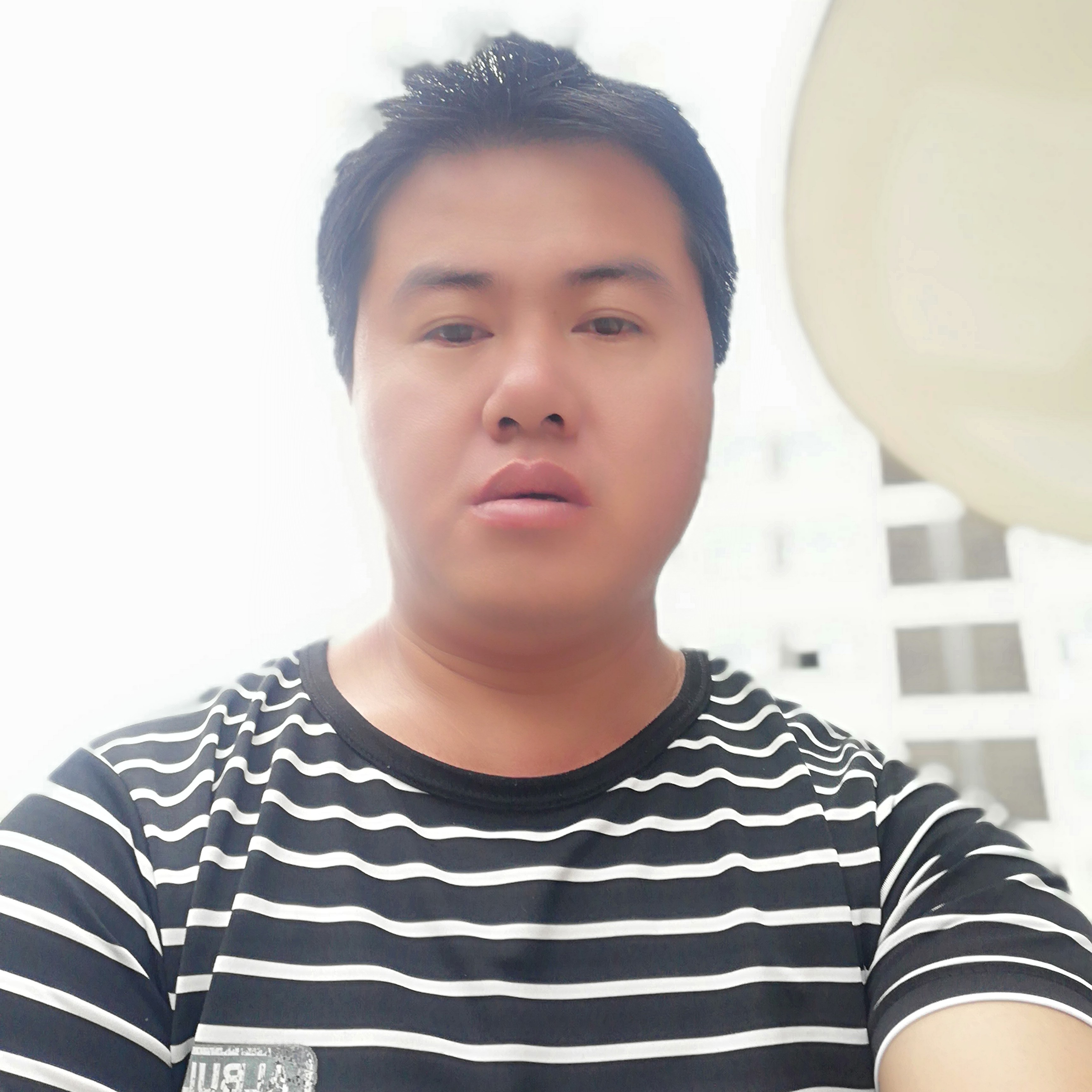 小蝴蝶回首幽默的照片
