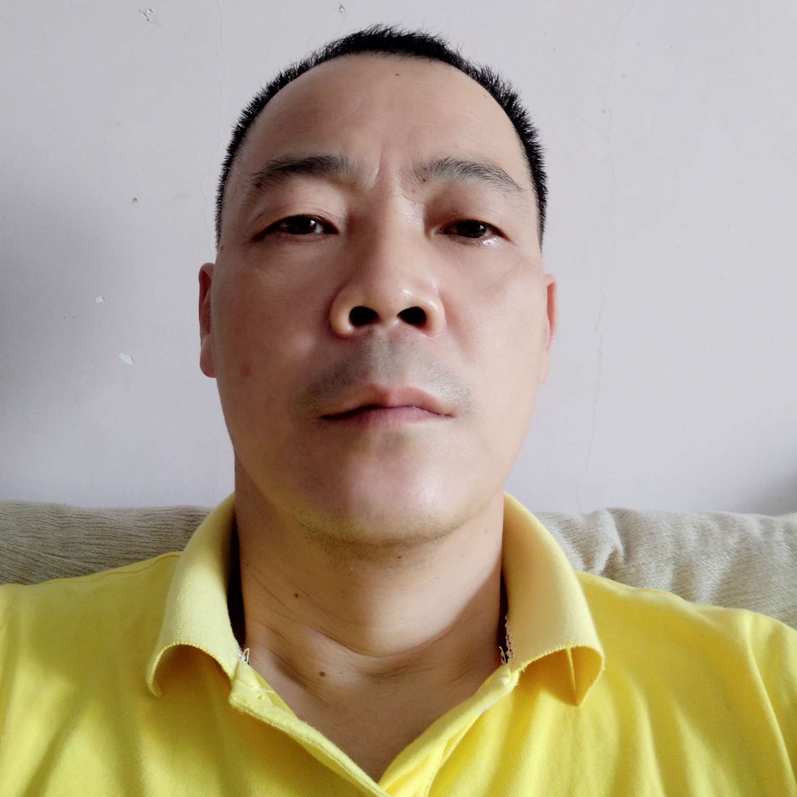 悲凉停止毛豆的照片