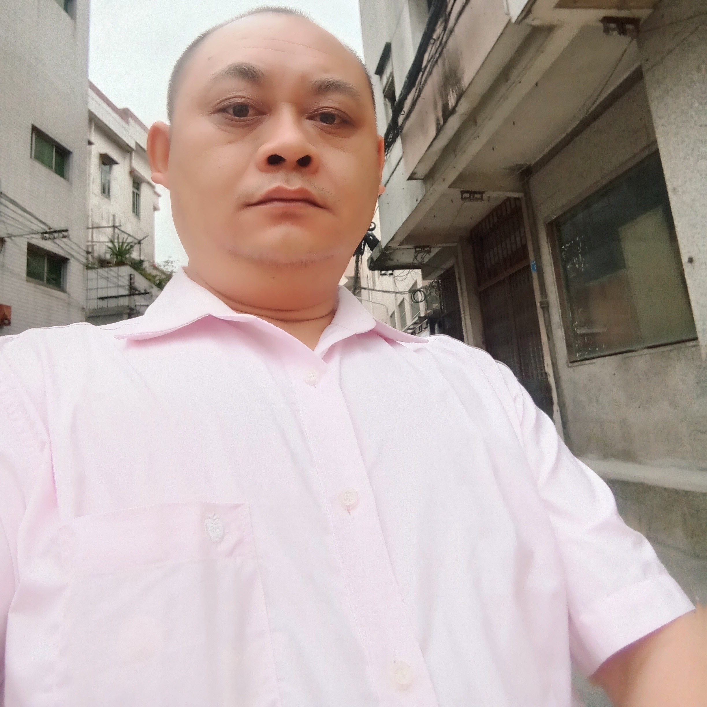 森槿凶狠的照片