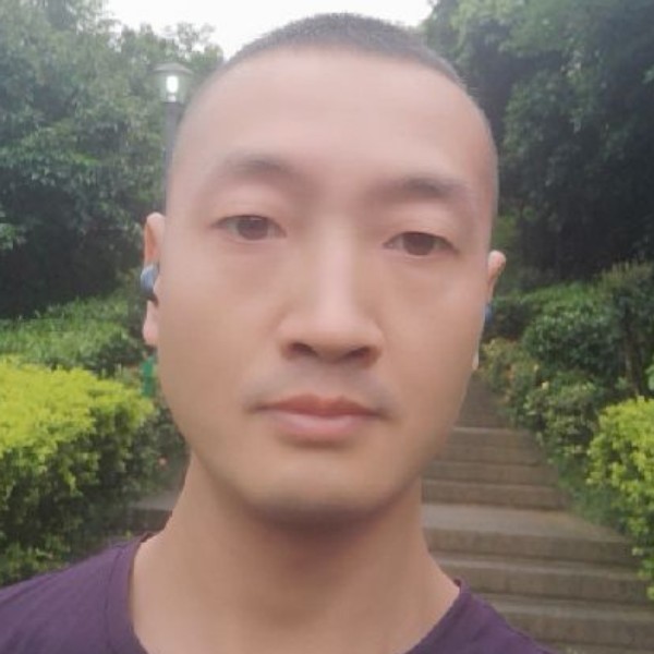 斑马爱恋淡定的照片