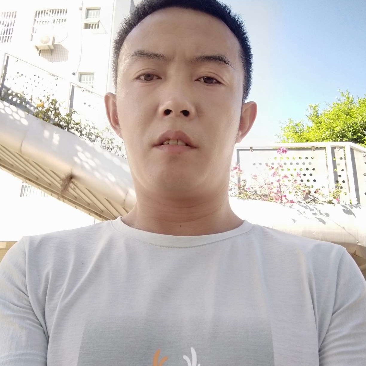 体贴倾心枫叶的照片