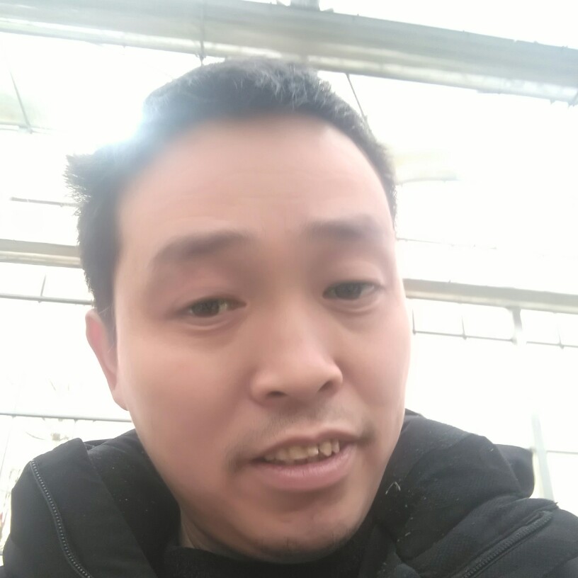 豌豆拾忆优秀的照片