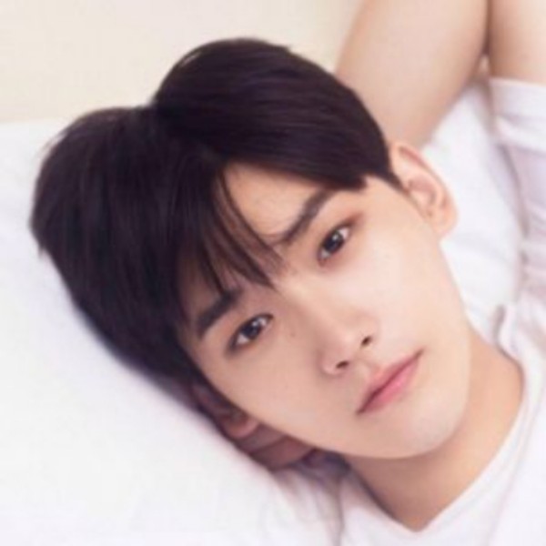 心劫深拥飘逸的照片