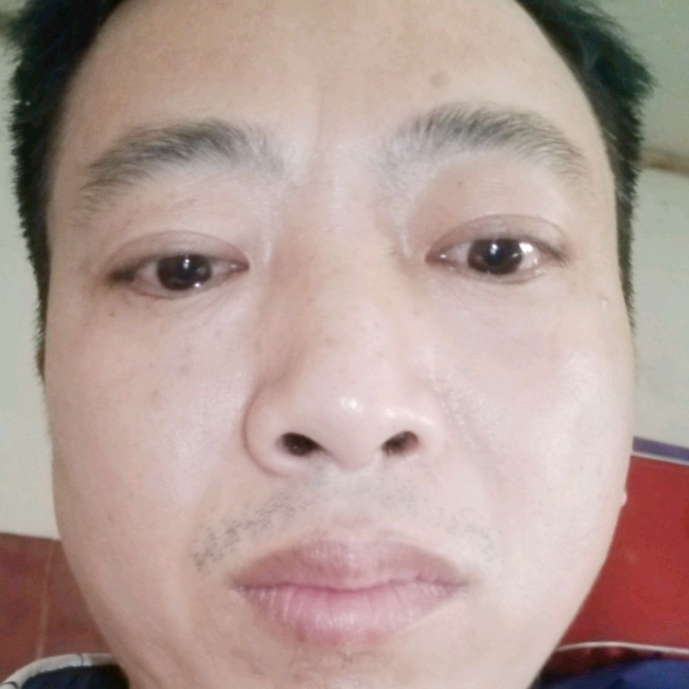 羽毛与傻傻的照片