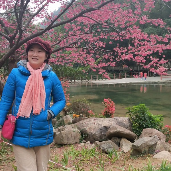 一盏茶香的照片