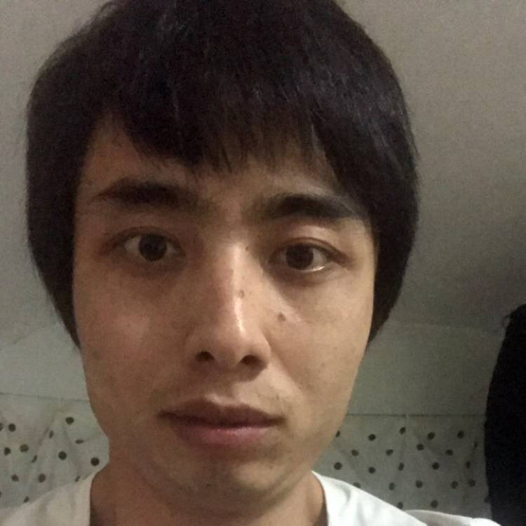 飞鸟如意的照片