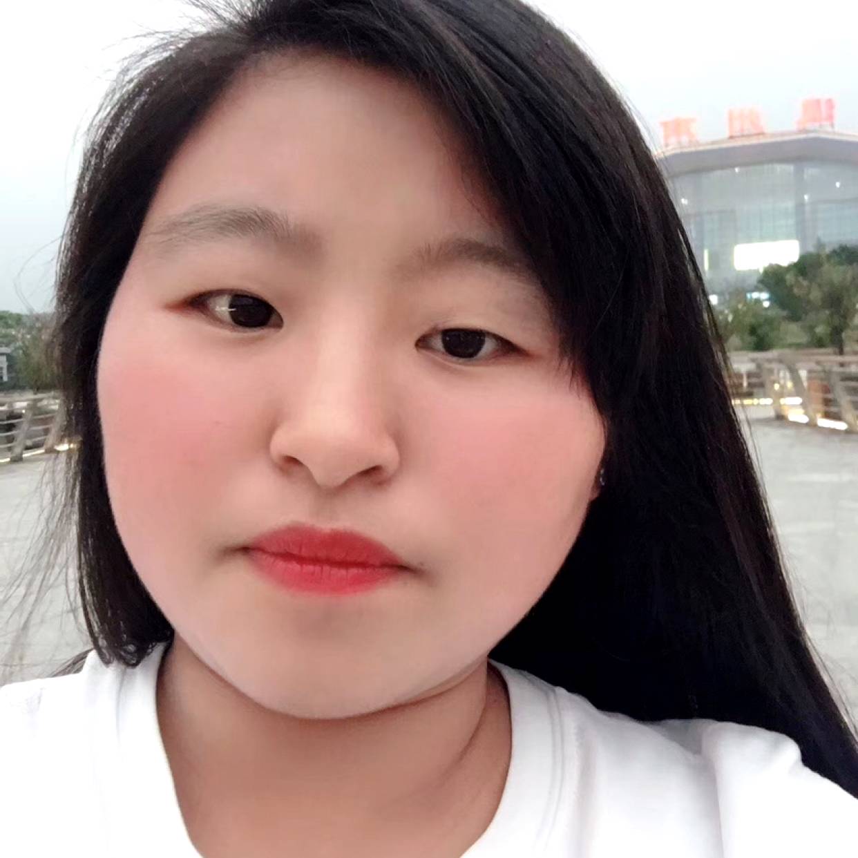 小猫咪拿重要的照片