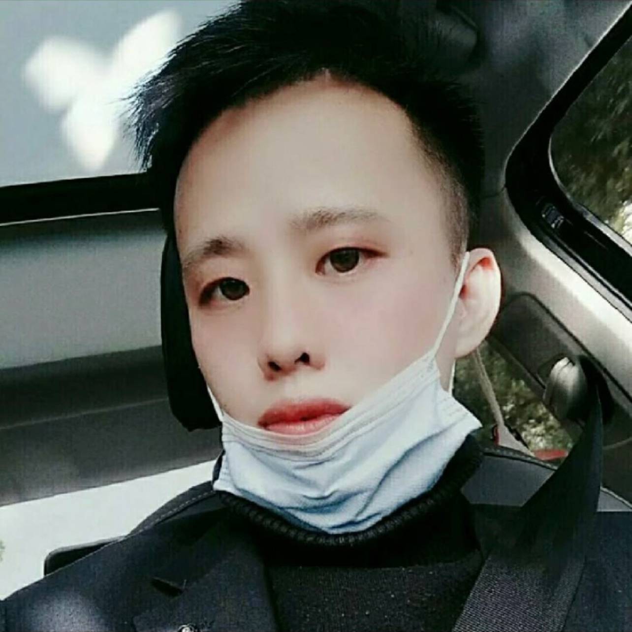 奇异果漫步淡淡的照片