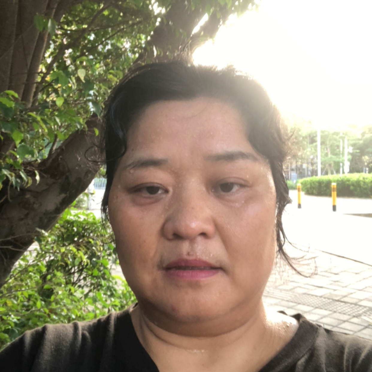 沁园春，梦？的照片