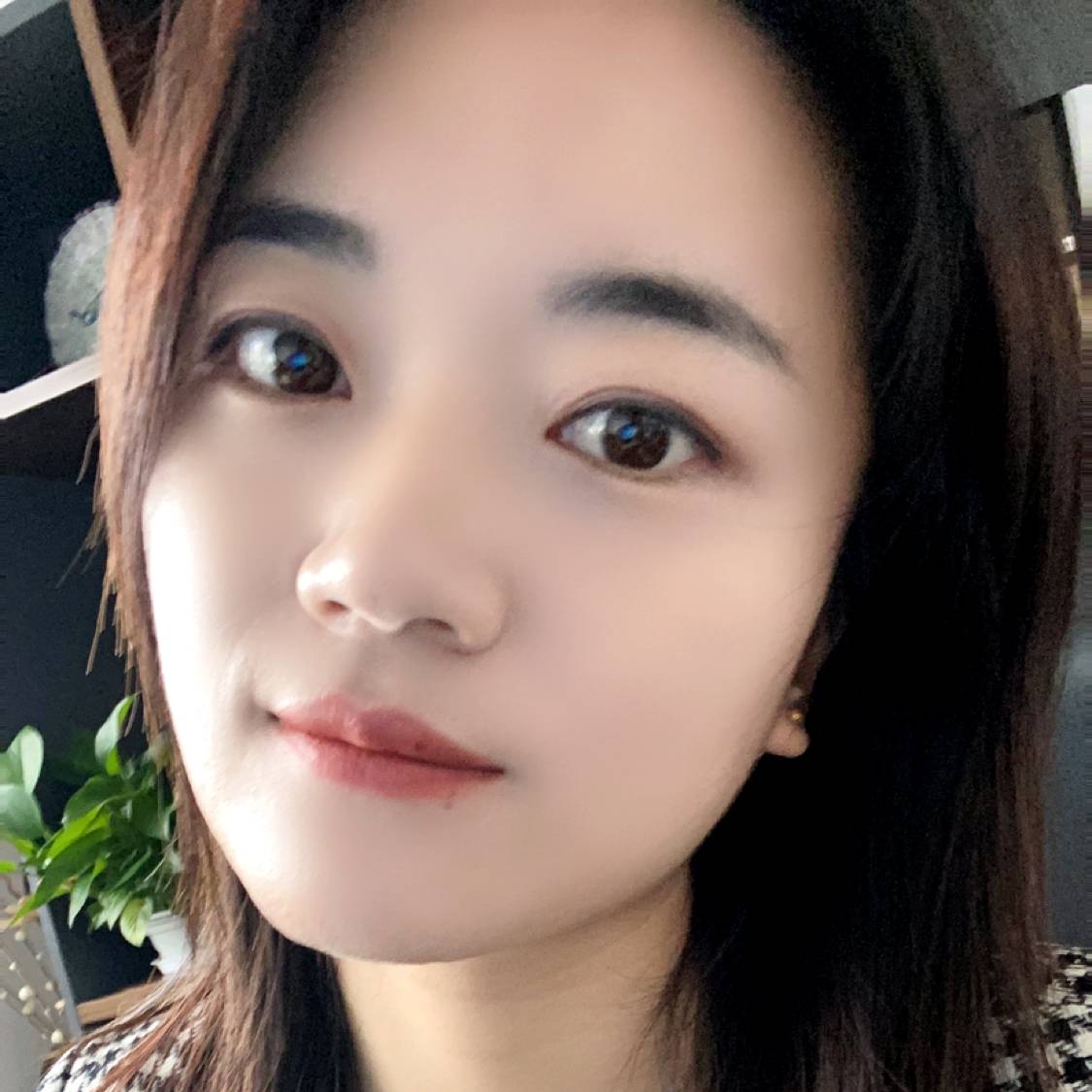 眉间雪。的照片