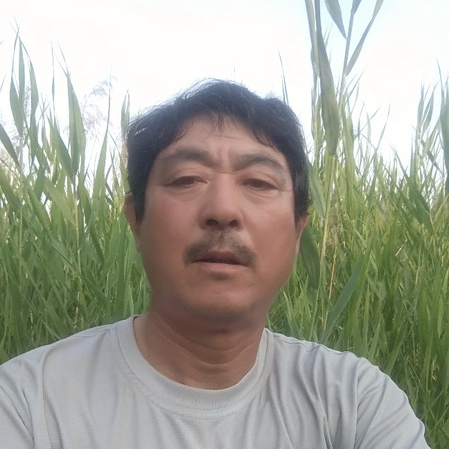 机器猫认真的照片