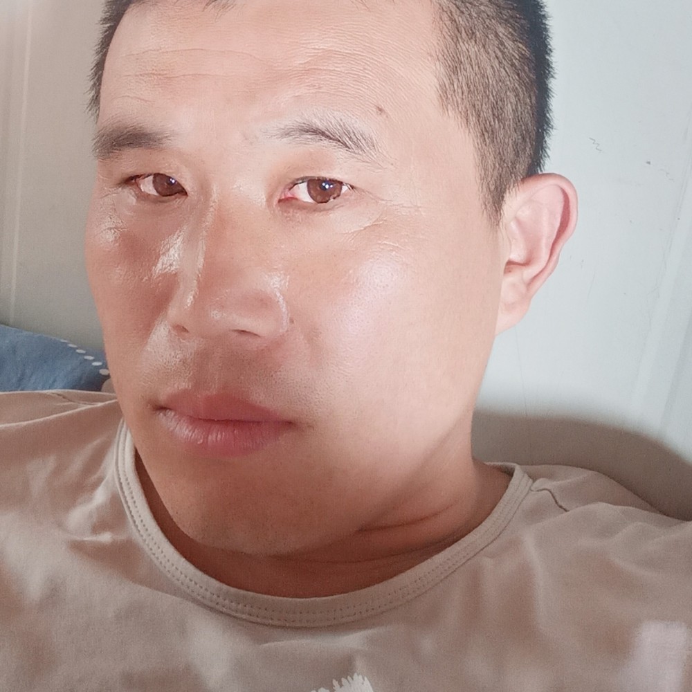 无心苦恋白猫的照片