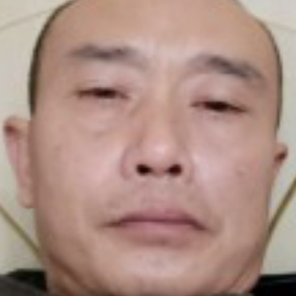 猫咪蹁跹务实的照片