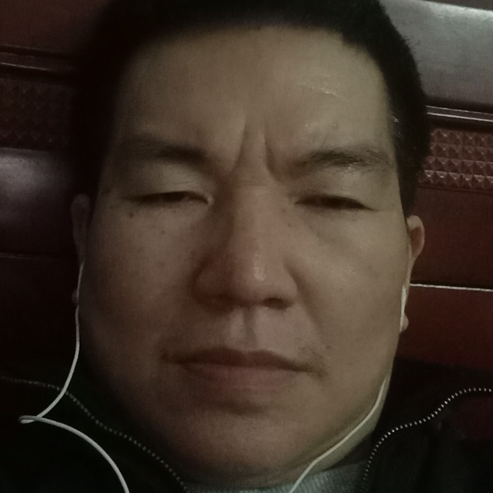 雄鹰南飞的照片