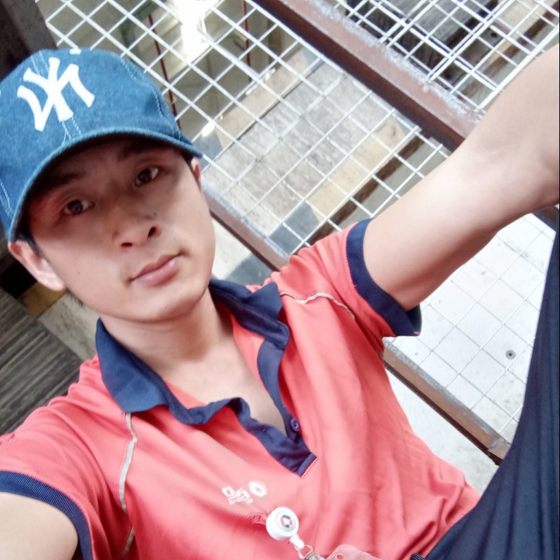野性就电源的照片