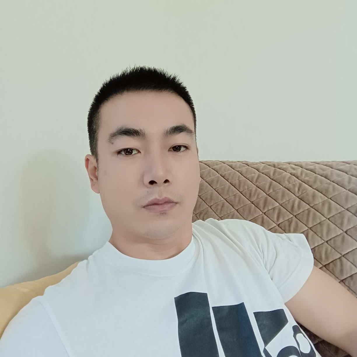 蝶舞等于多情的照片
