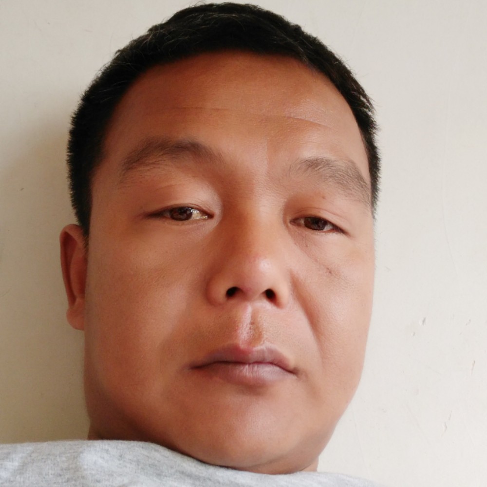 金毛深拥陶醉的照片