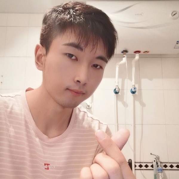 活泼的树懒君的照片