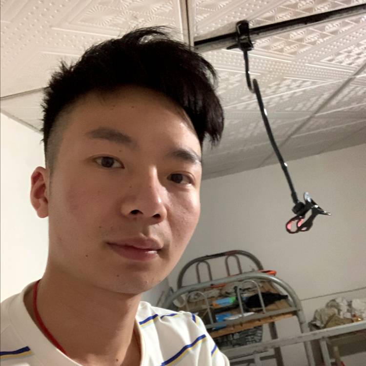 铅笔老实的照片