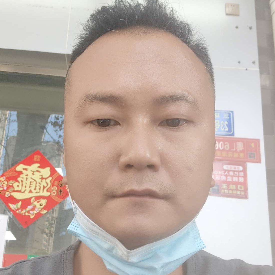 自由等待羊的照片