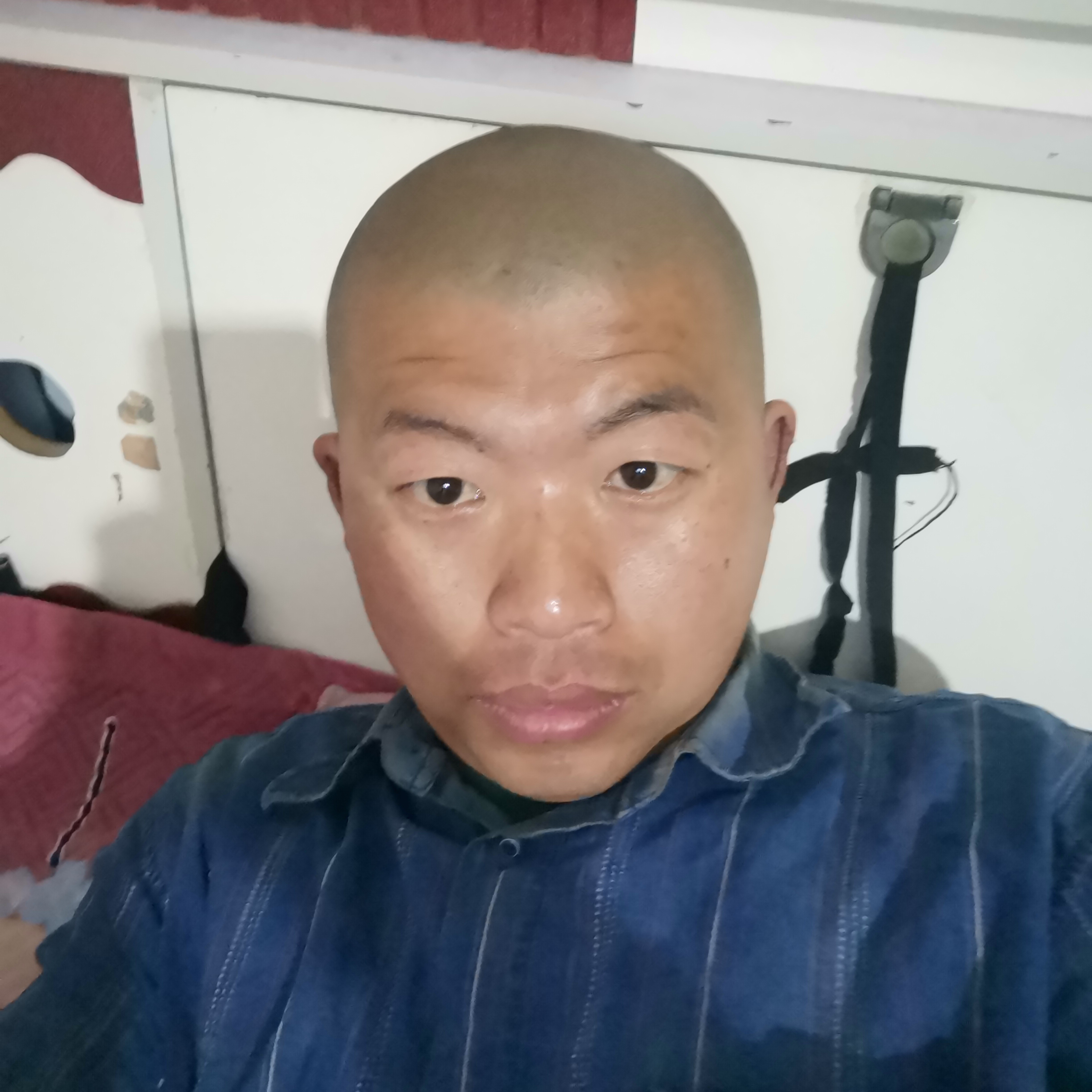 震动爱恋诺言的照片