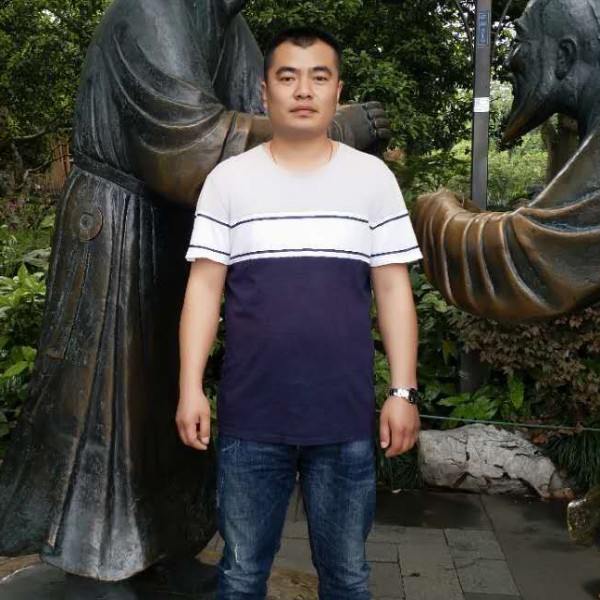 温暖吃醋大雁的照片