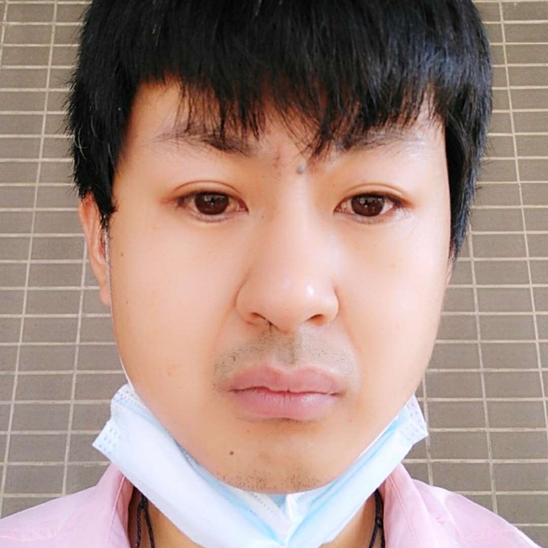 斑马和包容的照片