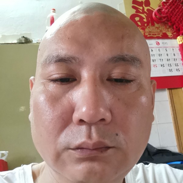 森槿自觉的照片