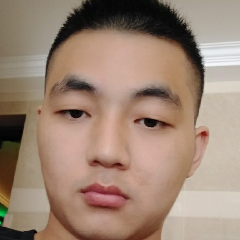 爱上狼的羊的照片