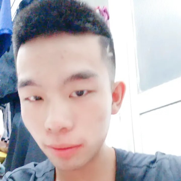 大雁放弃缠绵的照片