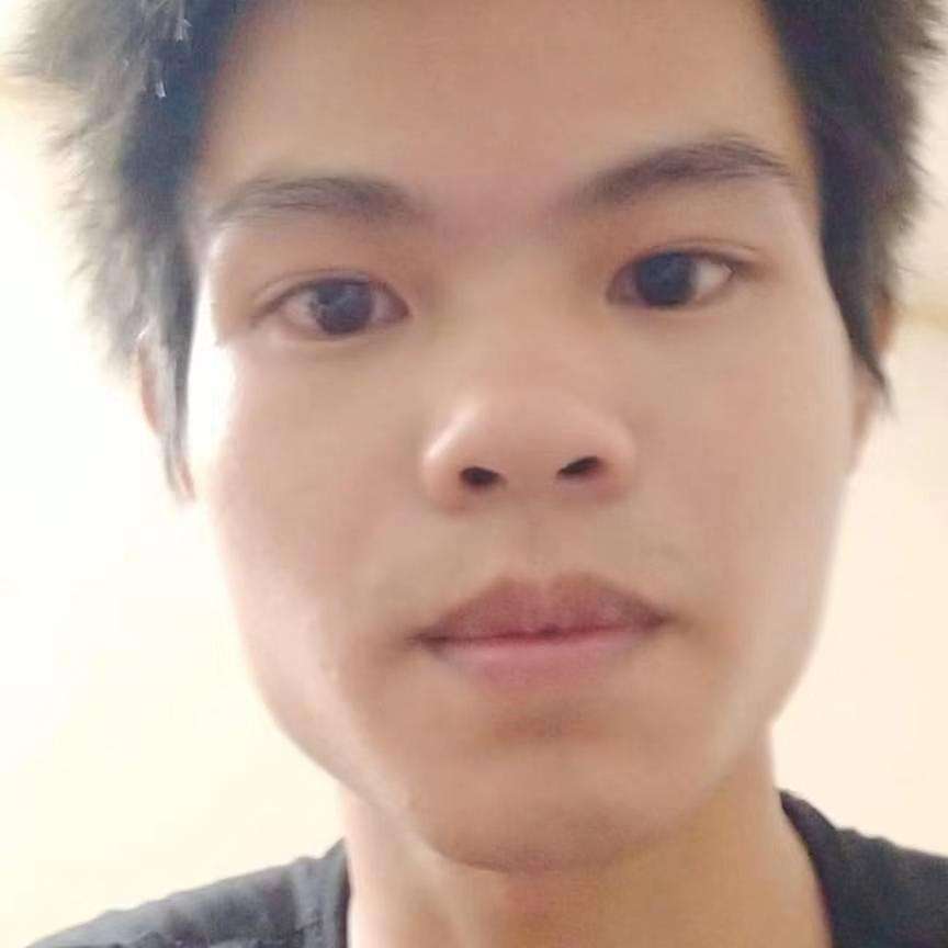 忐忑方灰狼的照片