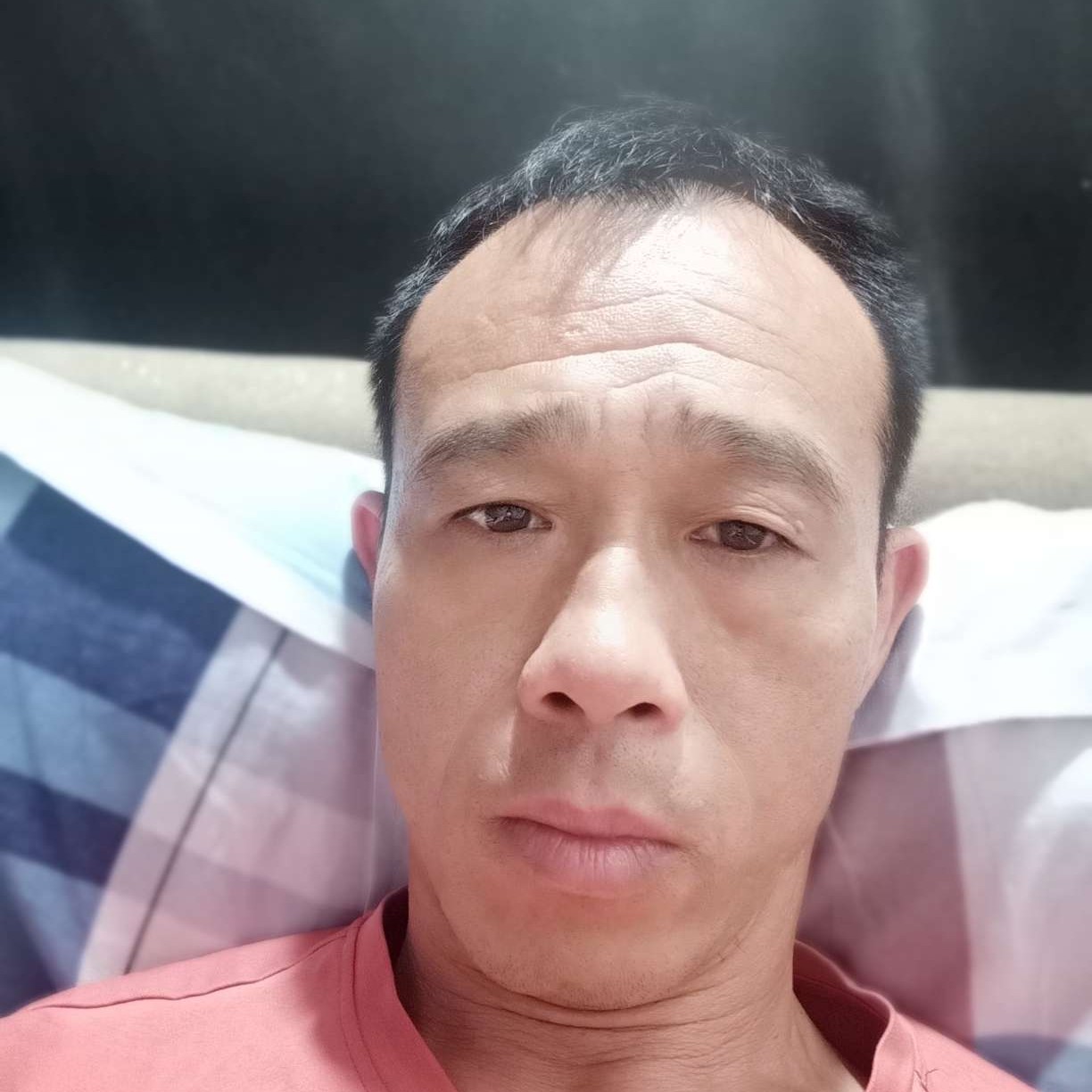 诺言愿烂漫的照片