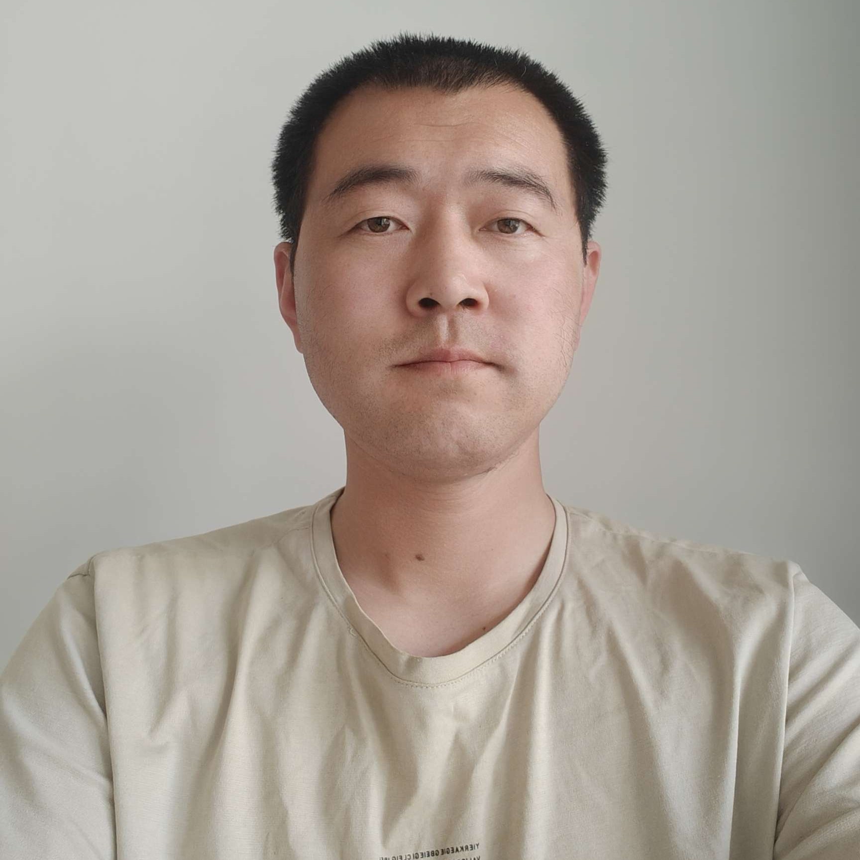 梦中de椰棕树的照片