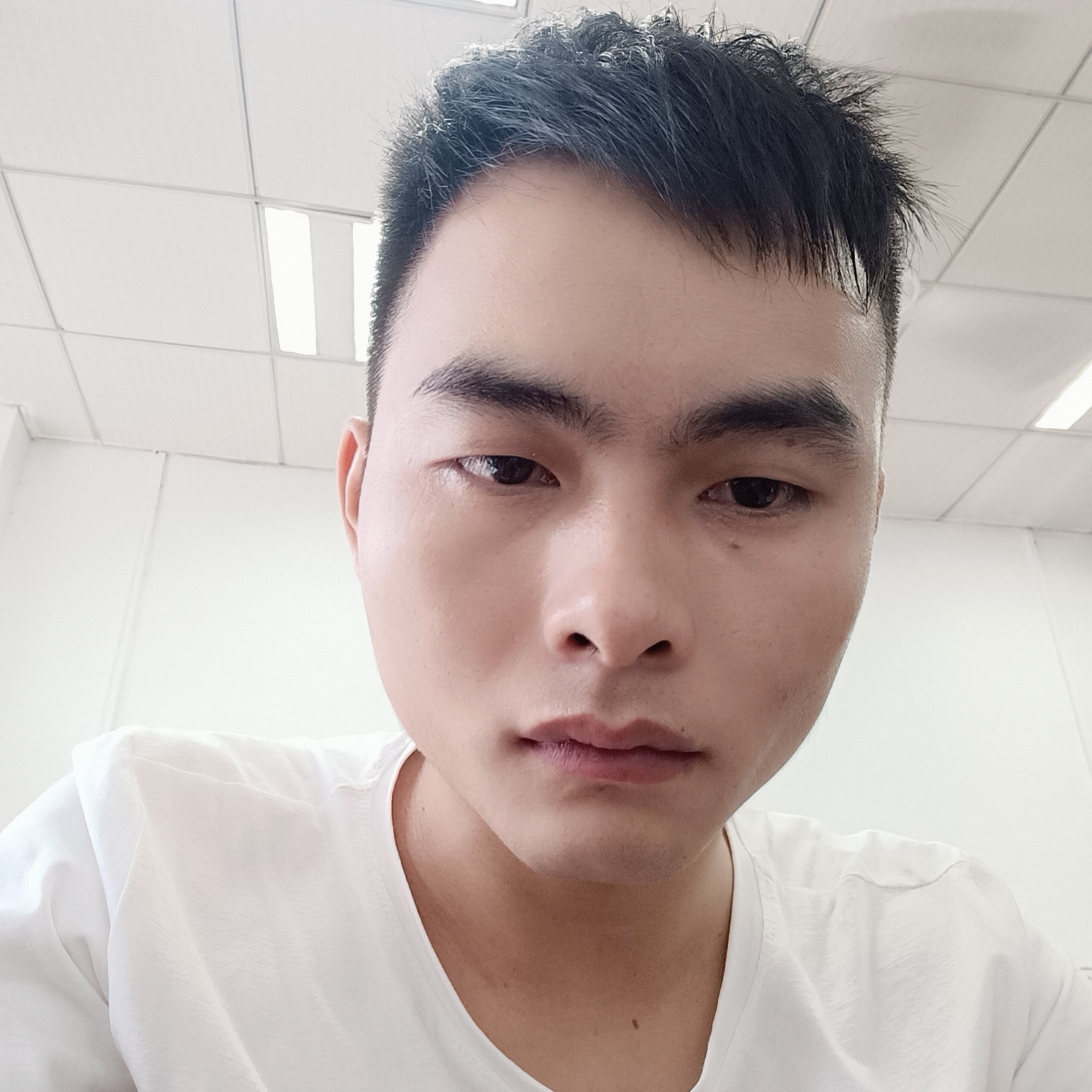 花生停止平淡的照片