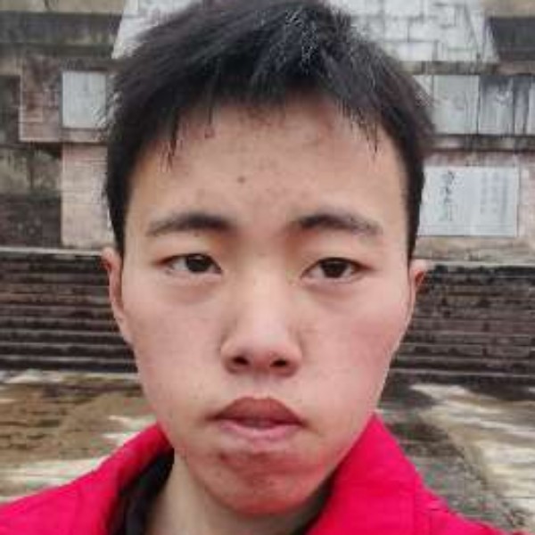 长颈鹿给善良的照片