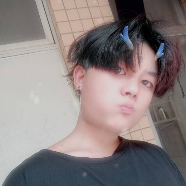 （ai）泽的照片