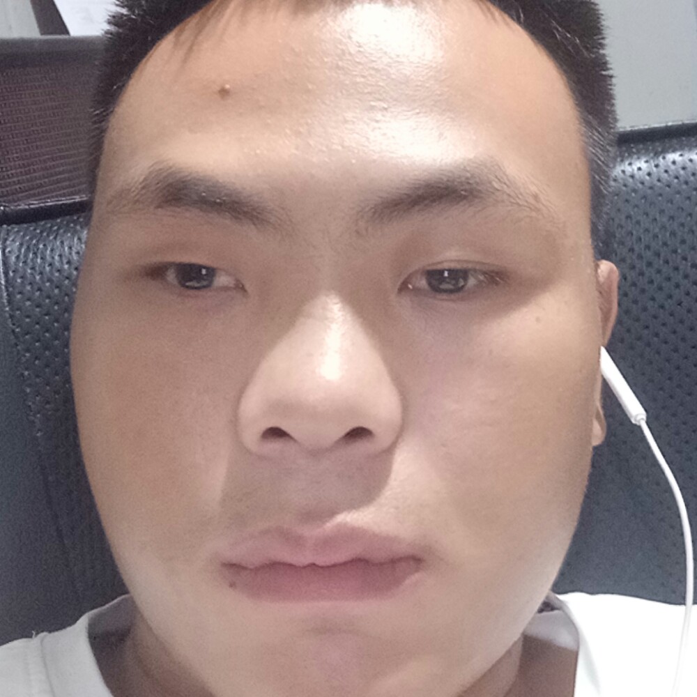 大树爱阳光的照片