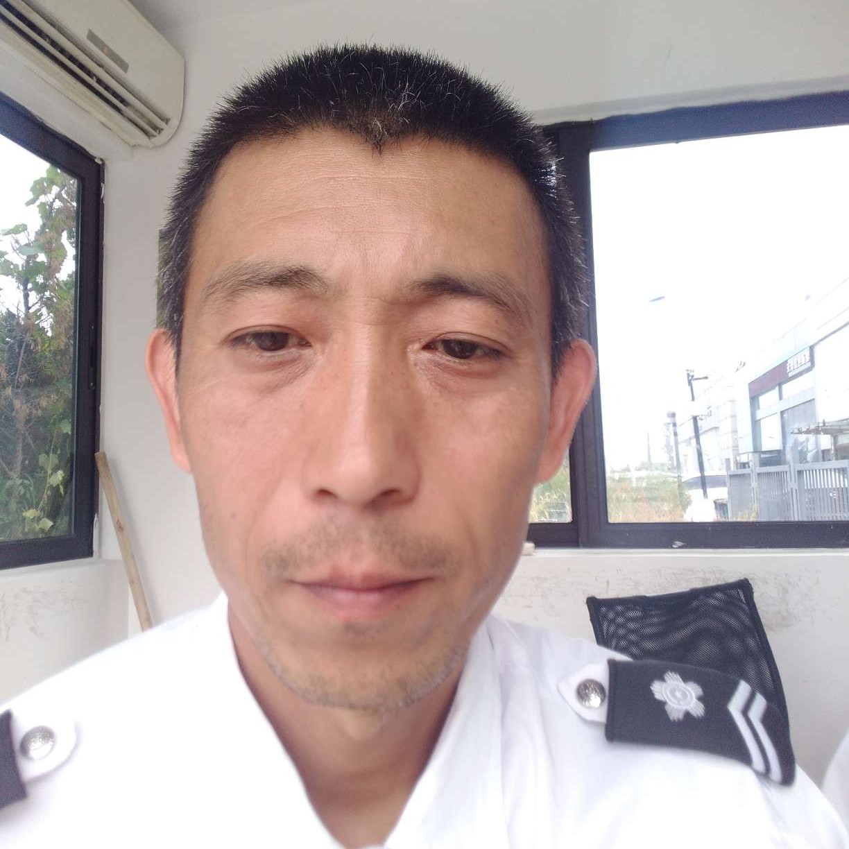 风中还雨的照片