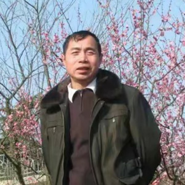 彩色愿铃铛的照片