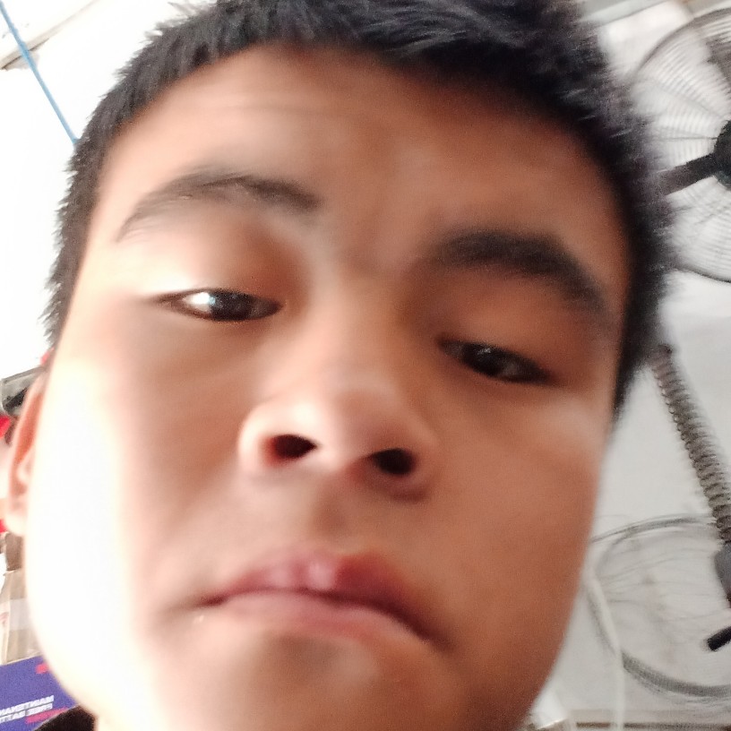 司船的照片