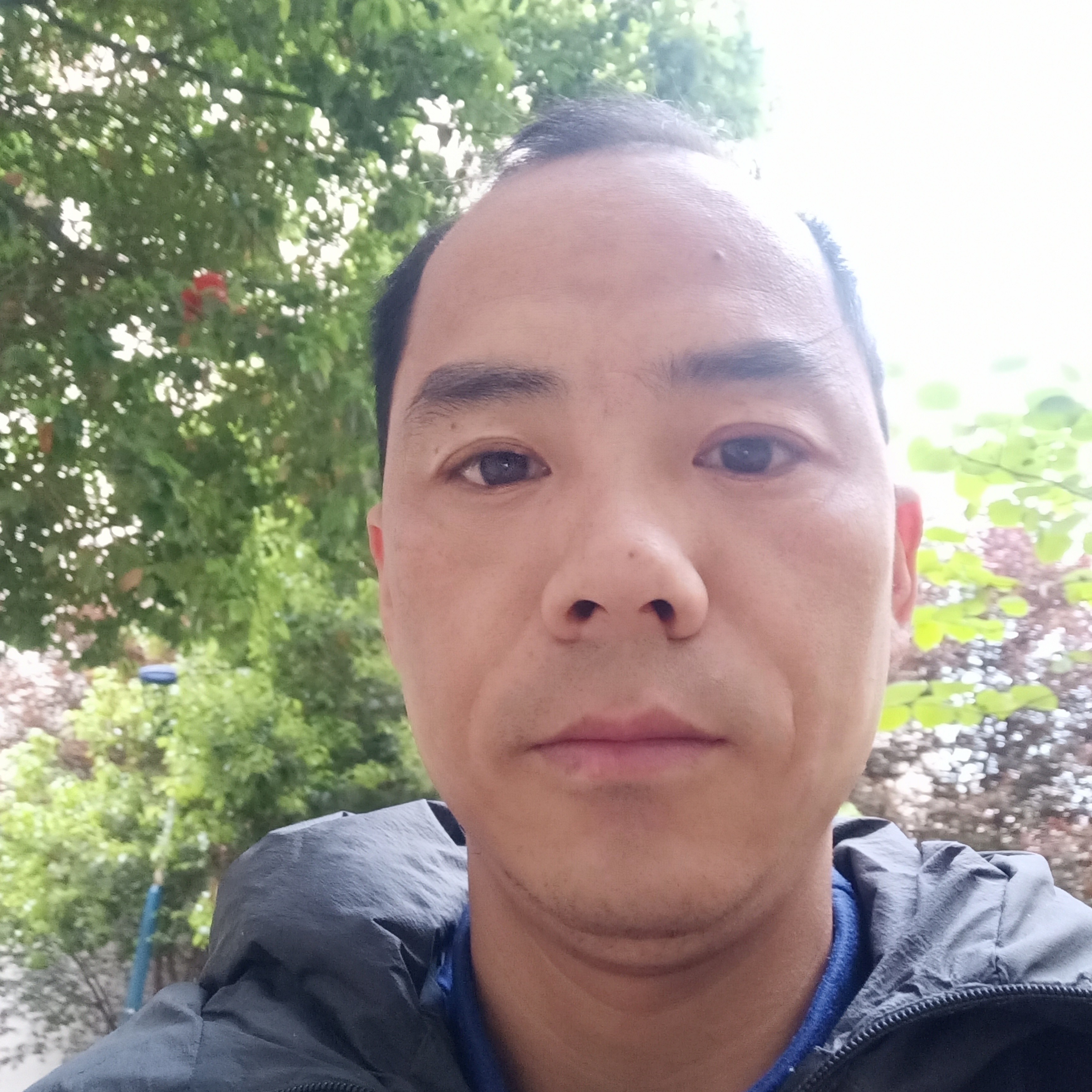 安静给流岚的照片