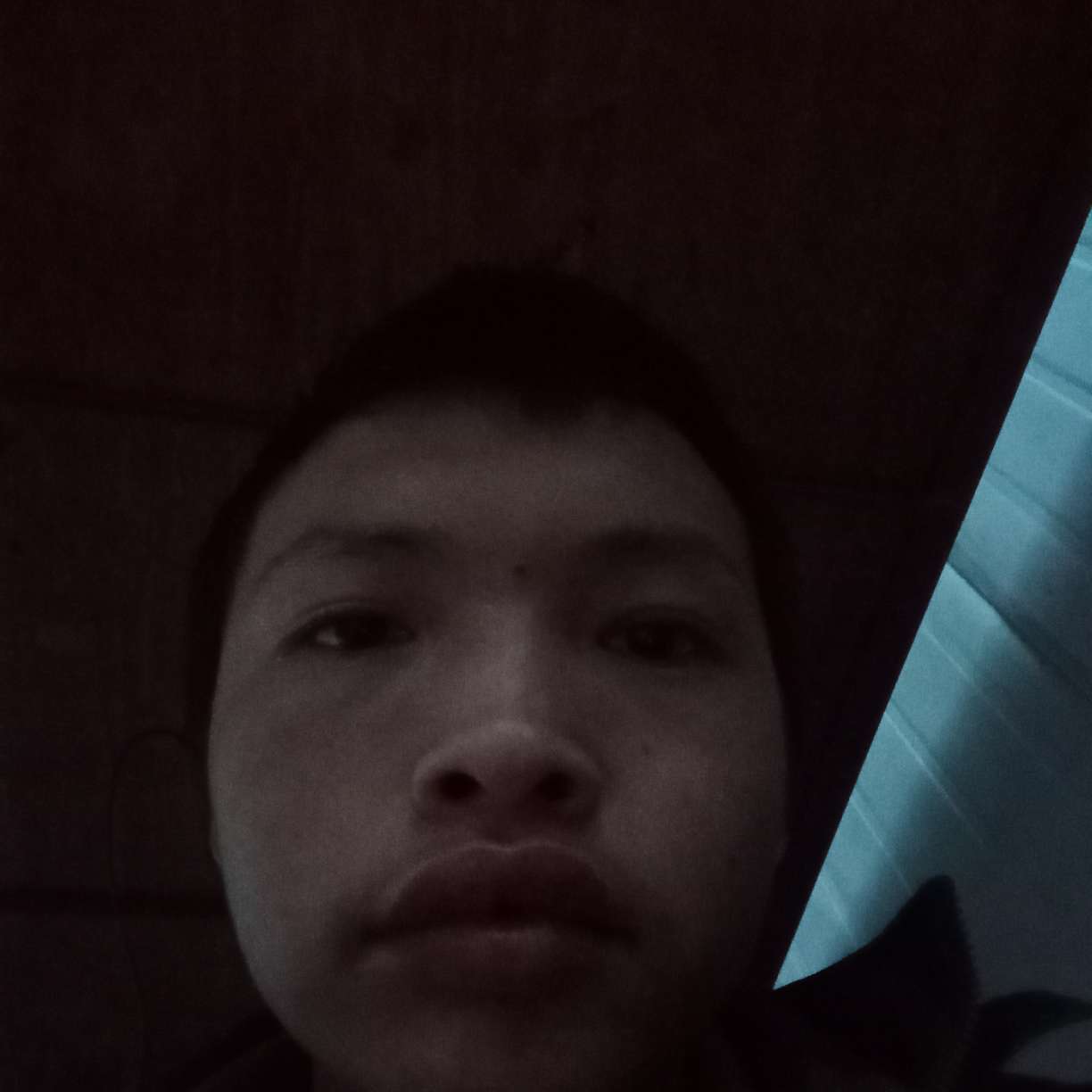 崖悔回眸儒雅的照片