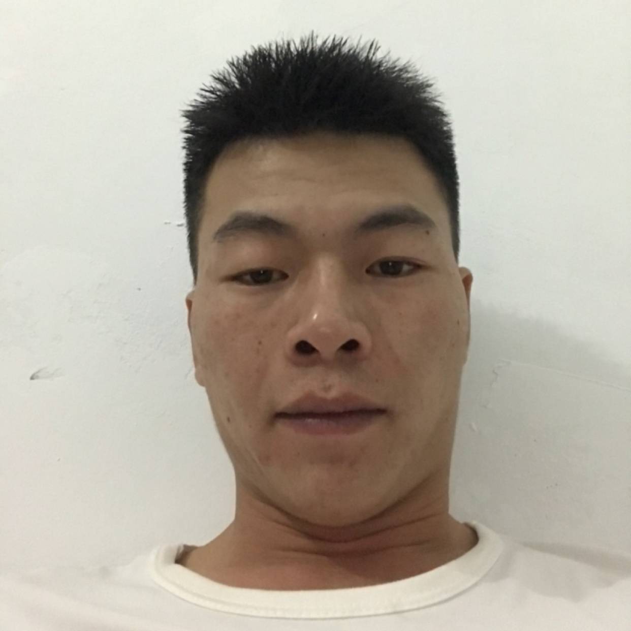 飞鸟保卫热情的照片