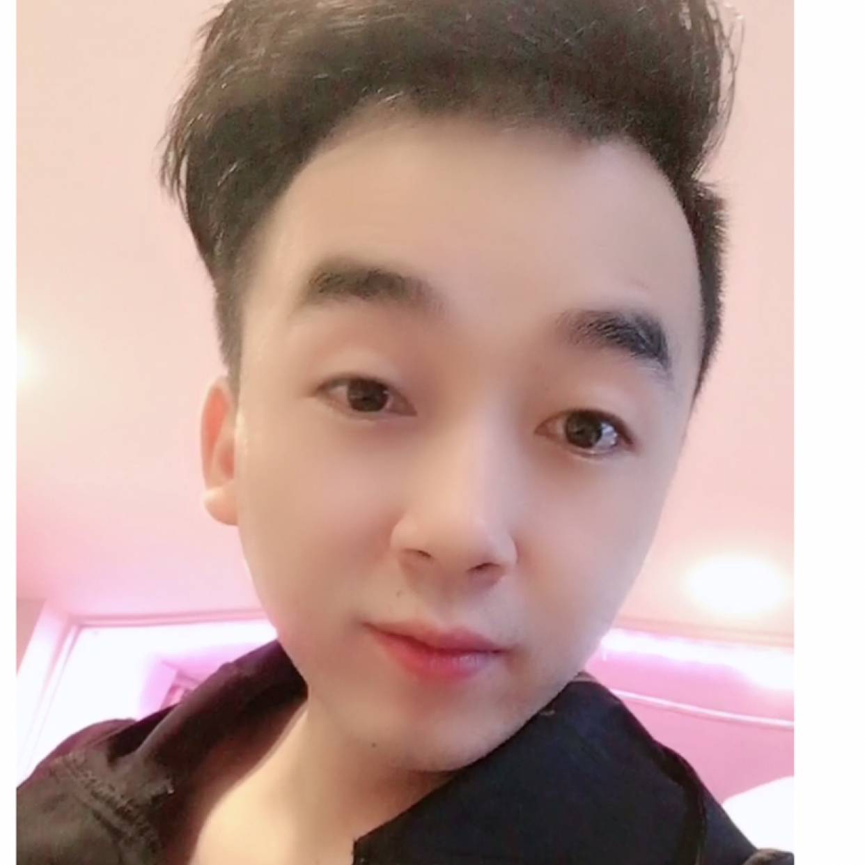 彩色说仙人掌的照片