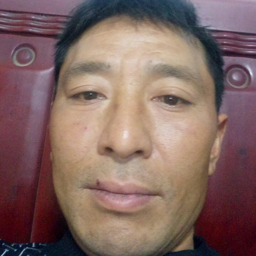 靓丽小白菜的照片