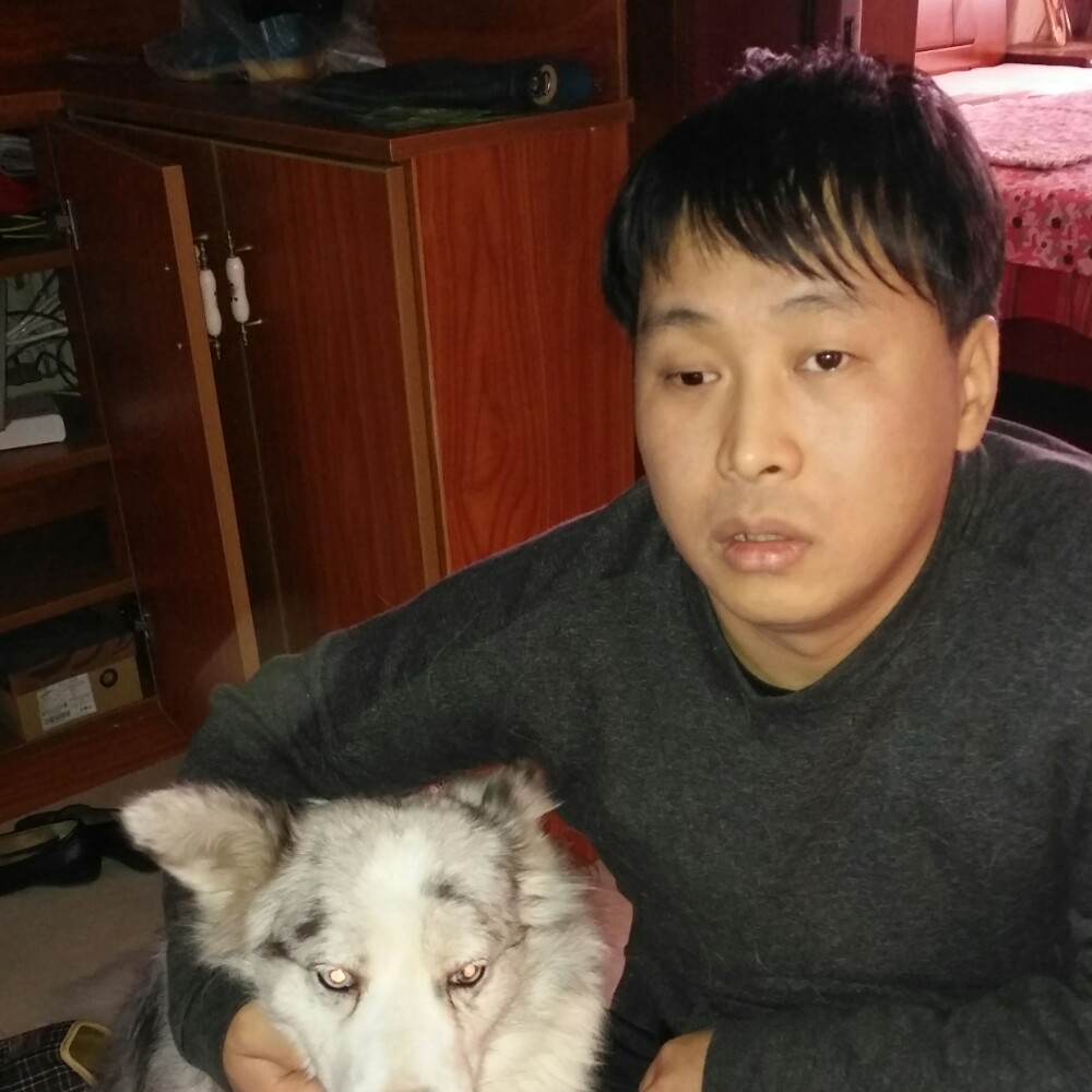 呆呆在的照片